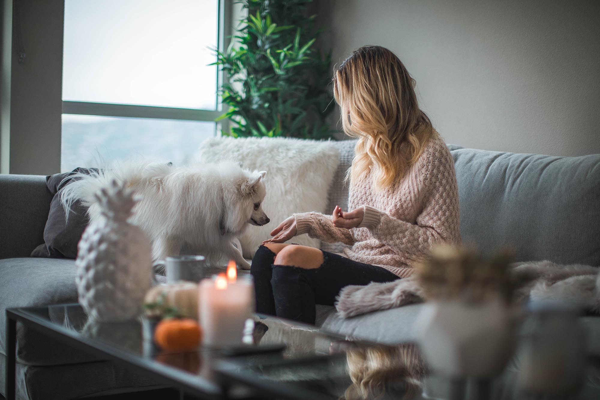 Personal Insurance